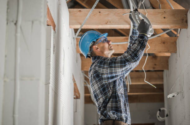 Best Electrician for Home Renovation  in Franklin, WI
