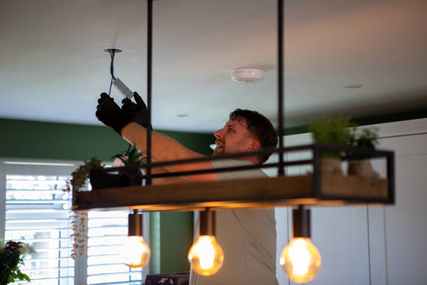 Best Electric Panel Repair  in Franklin, WI